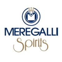 Partner - Gruppo Meregalli
