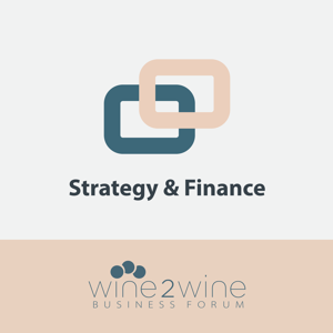 Nuovi Strumenti Economici e Finanziari per lo sviluppo strategico delle aziende vitivinicole