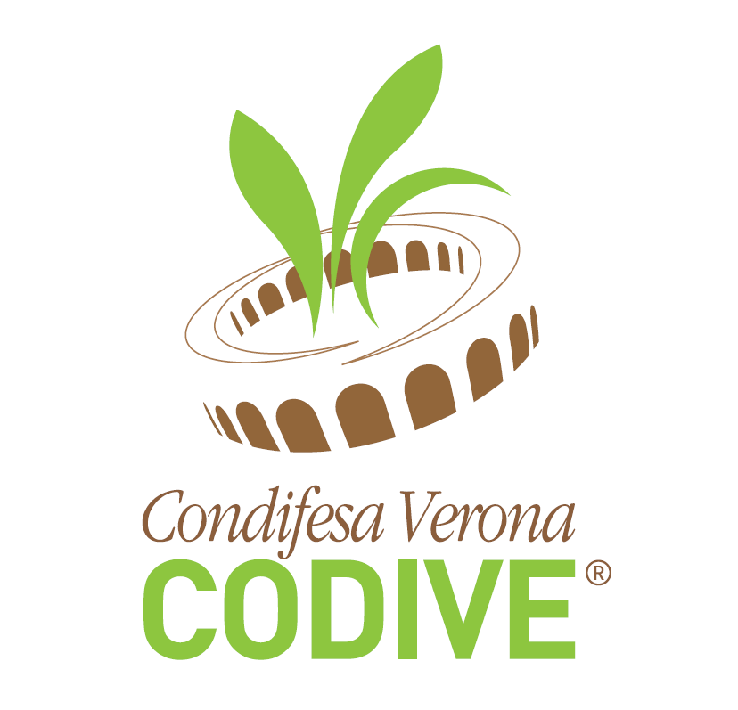Organizer - Condifesa Verona CODIVE