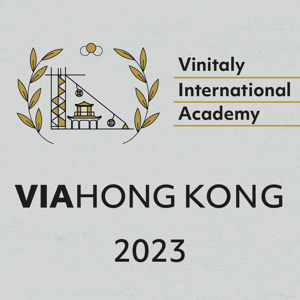 VIA HONG KONG - Agile Edition 2023